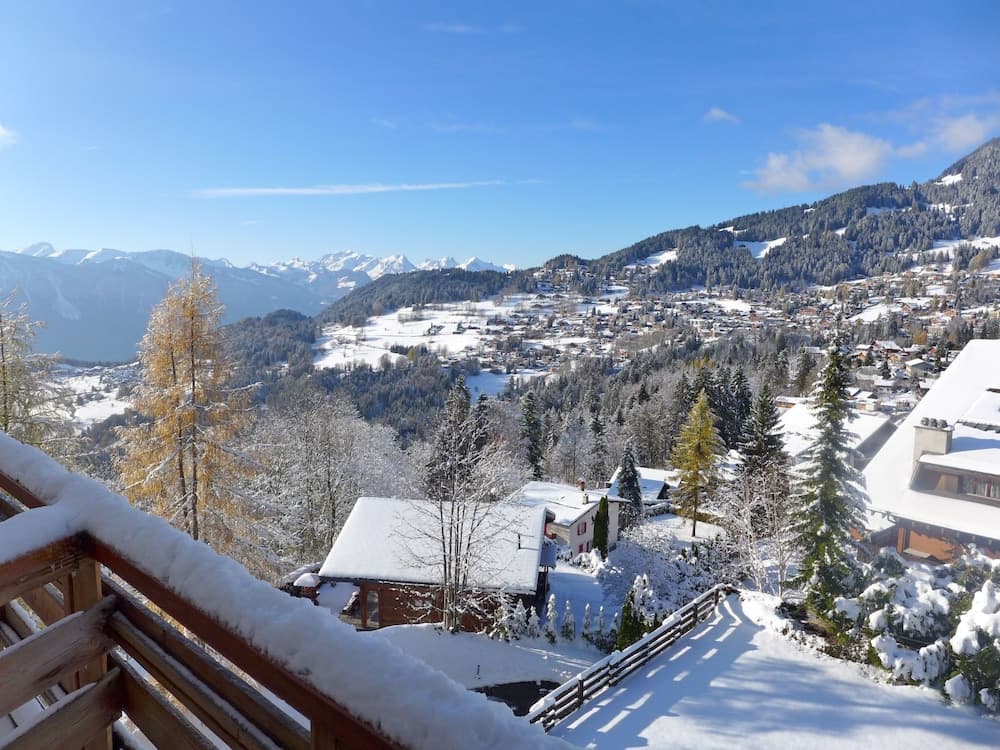 Le Bristol A46 Ollon