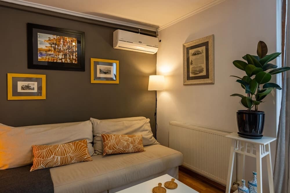 Splendid Flat With Terrace Near Istiklal Street