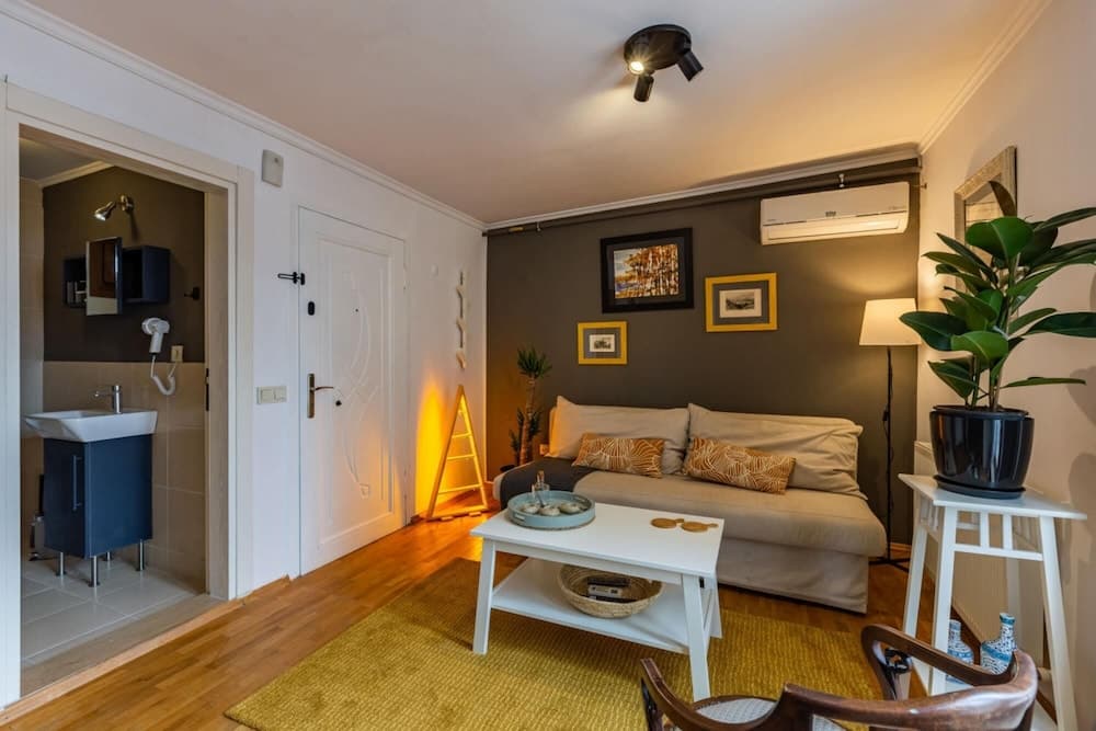 Splendid Flat With Terrace Near Istiklal Street