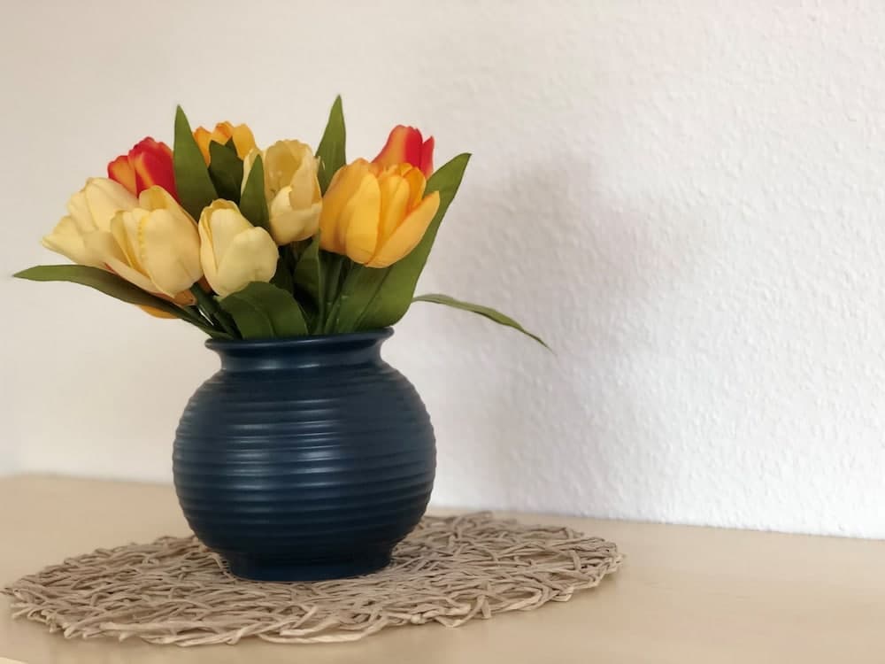 Spiekeroog Norden in Norden