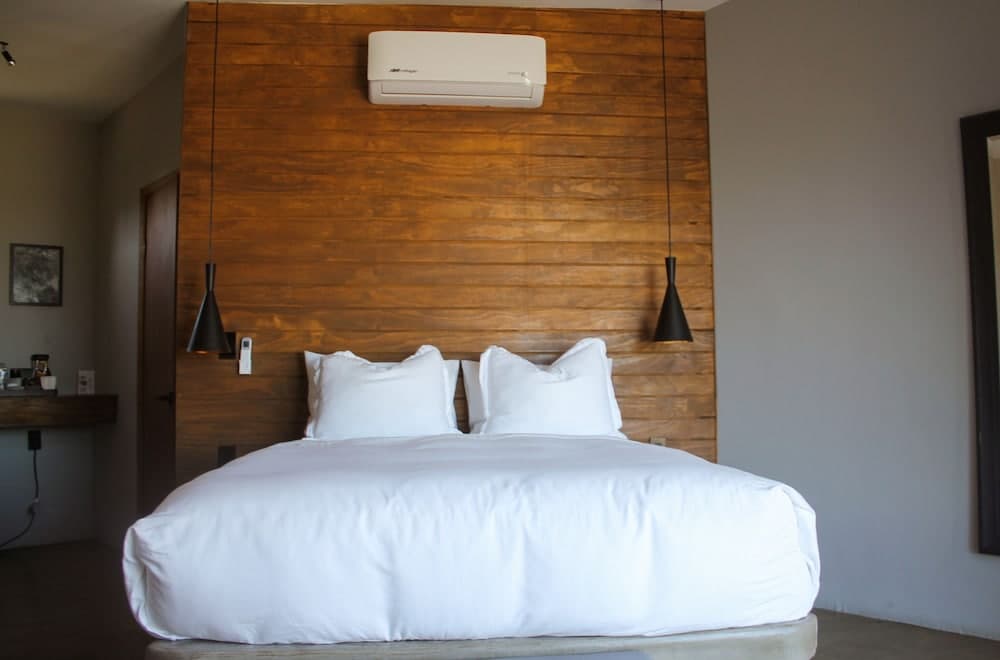 Pulso Valle de Guadalupe