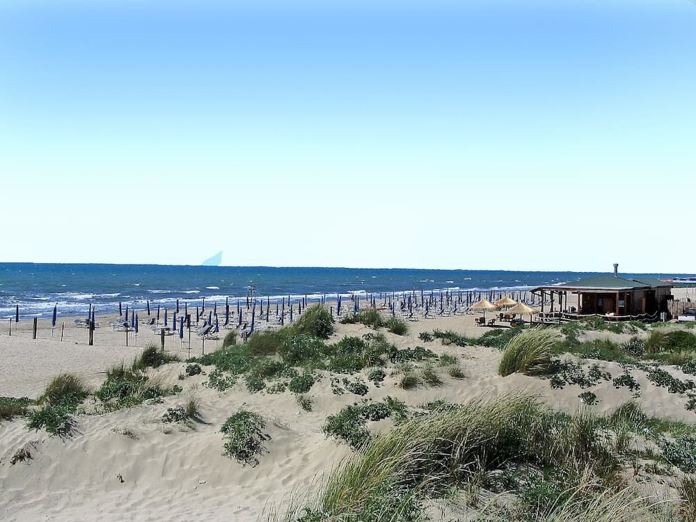 Suite 48 Tirrenia in Tirrenia