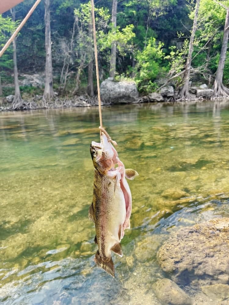 Son's Guadalupe Glamping Tent B