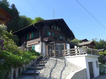 La Soldanelle Val-dilliez