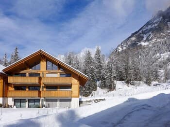 Arvenwald Kandersteg