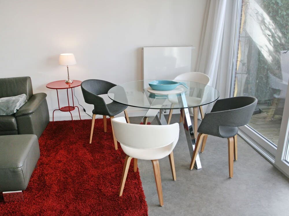 Kegelrobbe Norden in Norden