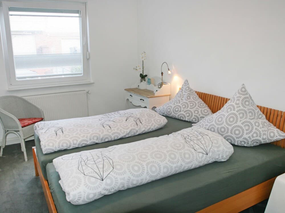 Kegelrobbe Norden in Norden