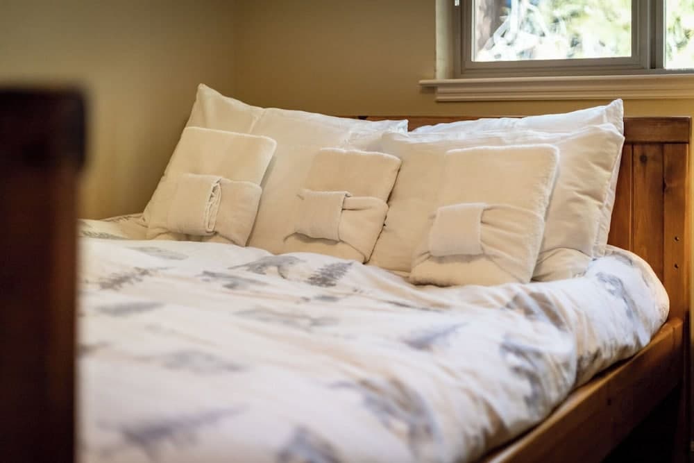 Heavenly Mountain Chalet - Skiing, Pets, Hot tub