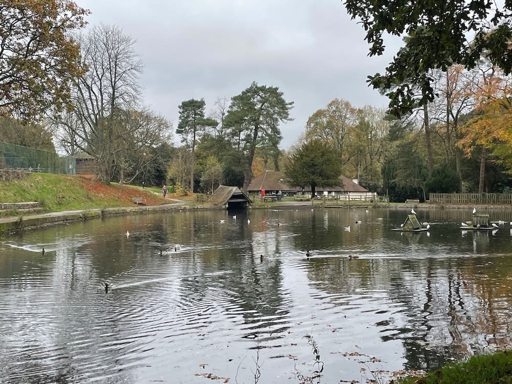 Studio/lickey Hills/near Attractions/garden/petok