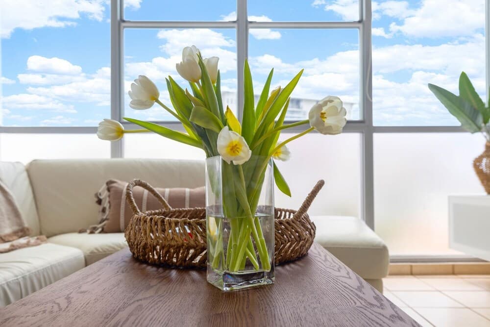 Las Brisas Flat 1 Bedroom Apartment Located Steps From Trendy Restaurants Bars