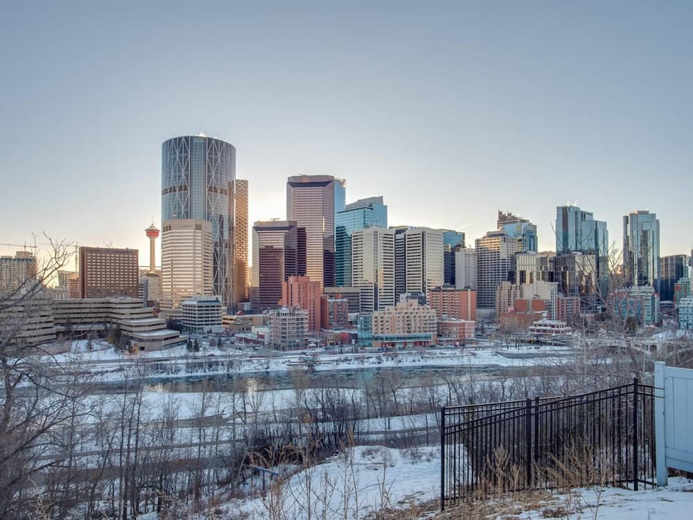 Gorgeous 2Br Condo w Parking Patio Coffee