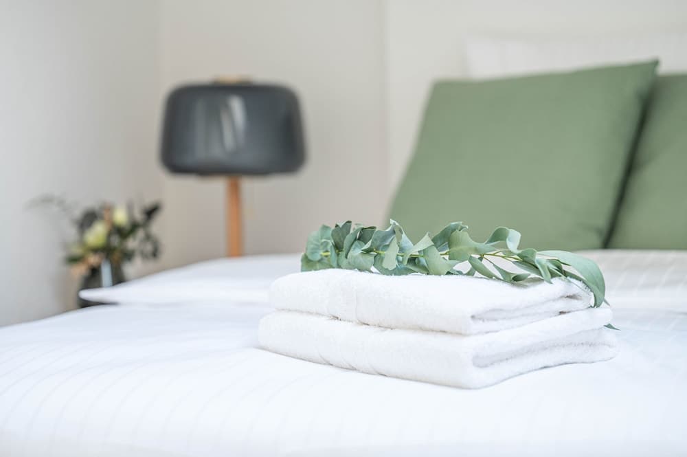 E-64 Duplex-3BDR apartment with Sky roof-Zurich West