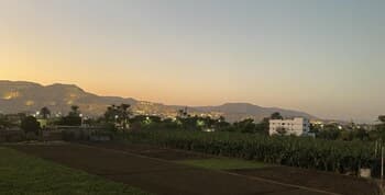 Lemon Tree House -albairat Esba