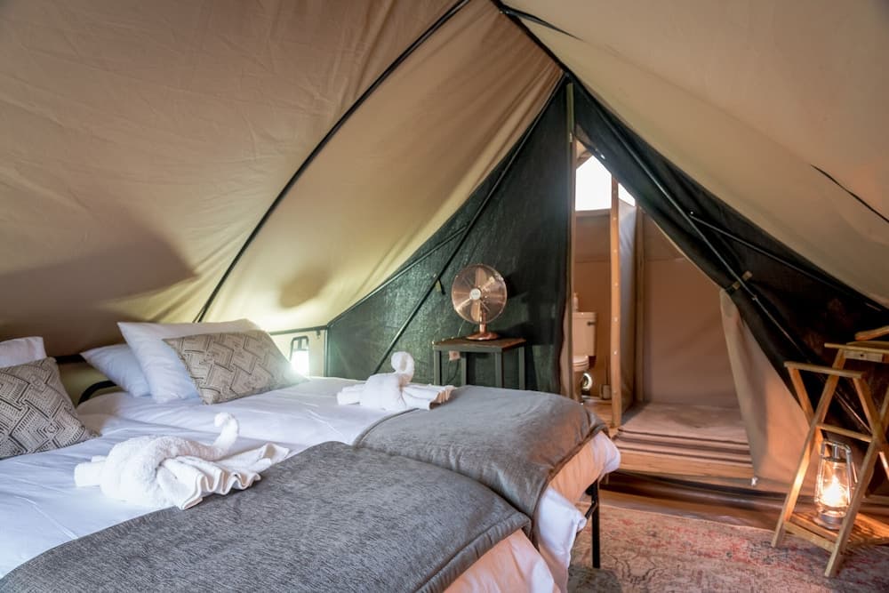 Bundox Explorer Camp