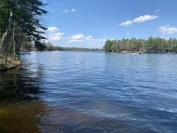 Black Bear Lodge Bear Trap #1