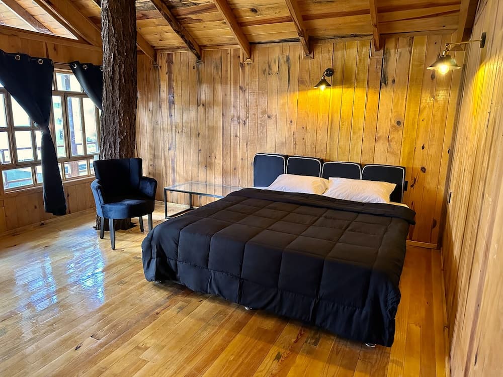 PINE TREE Hotel Boutique & Cabañas