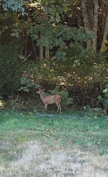 GLOBALSTAY. Paradise Marina Place