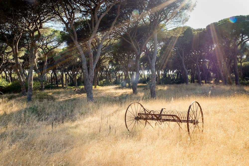 La Canova 1 few min From sea