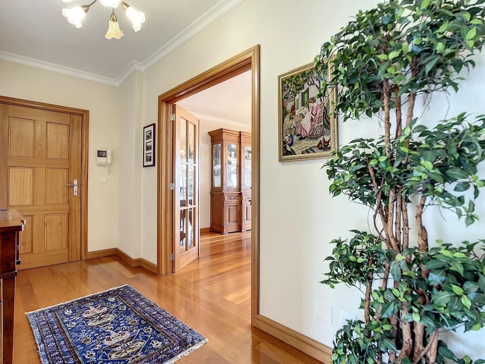 Monumental Ocean View