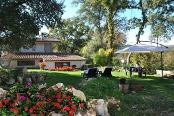 Romeo and Juliet in the Enchanted Forest