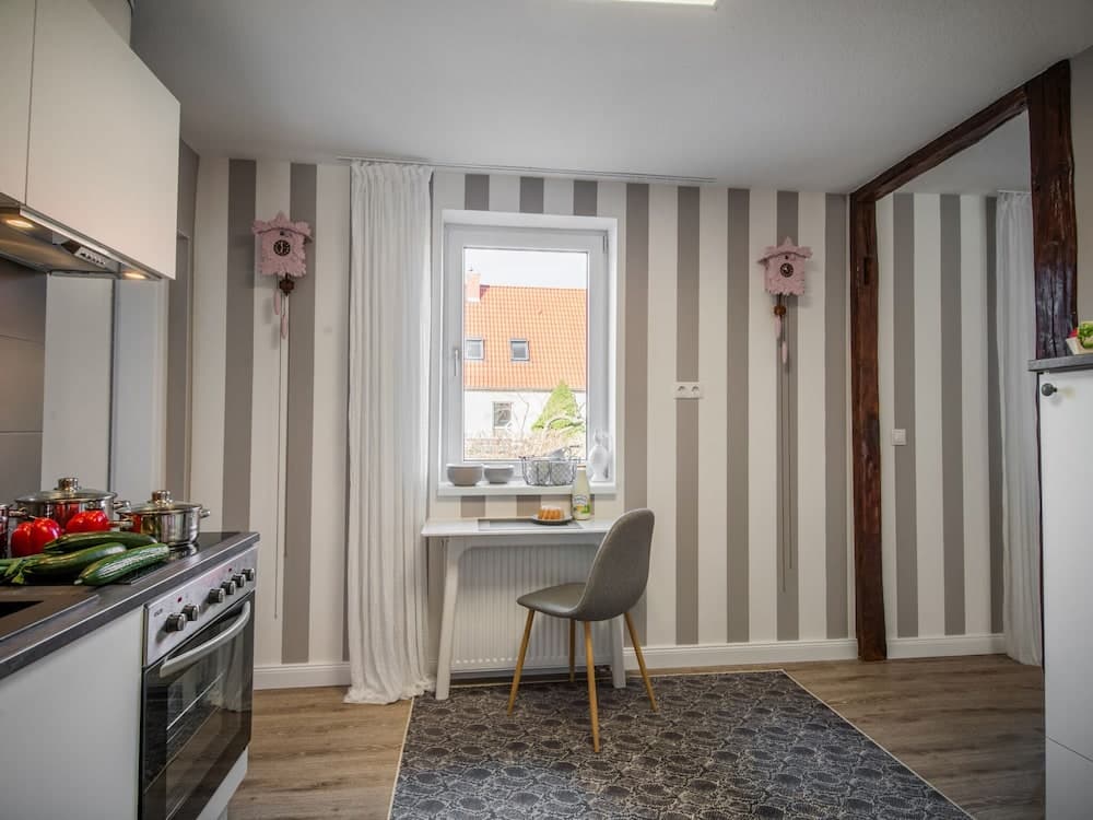 Apartment in Harz With Terrace and Fireplace