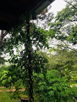 Pousada canto do Sabiá