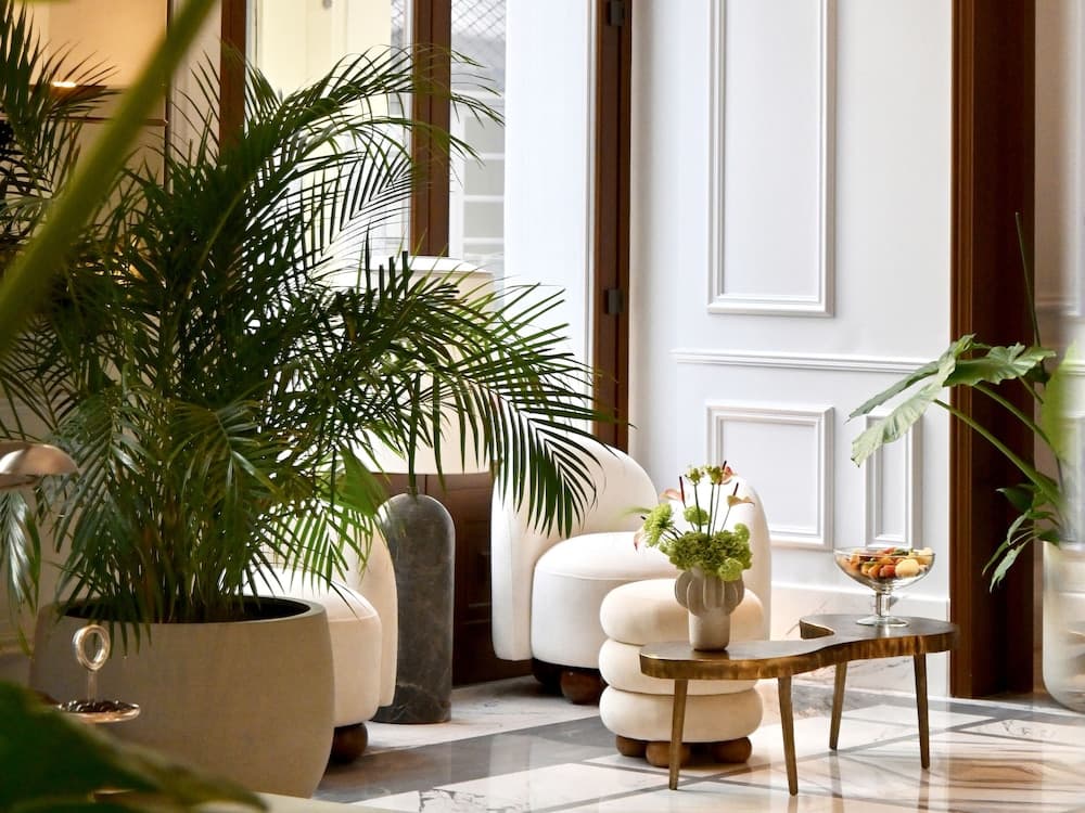 The Dolli at Acropolis, A Hotel to Live