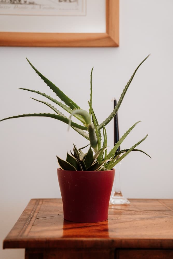 Bed and Breakfast Canalgrande