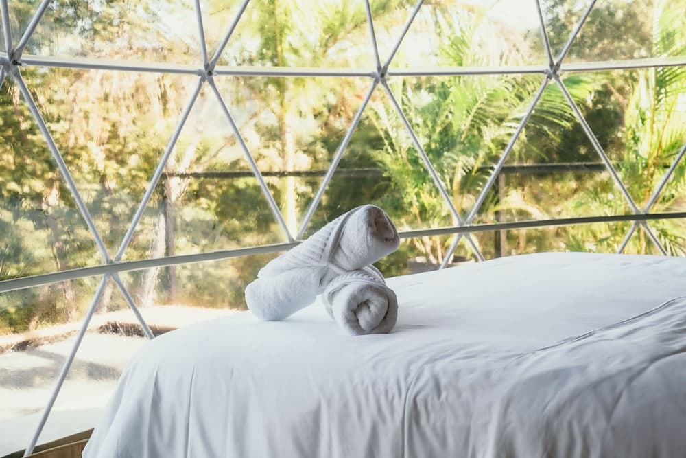 Alaya Yoga & Surf & Retreat