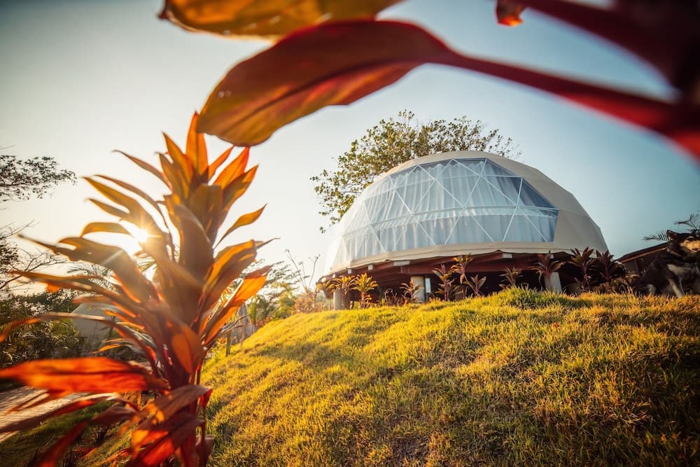 Alaya Yoga & Surf & Retreat