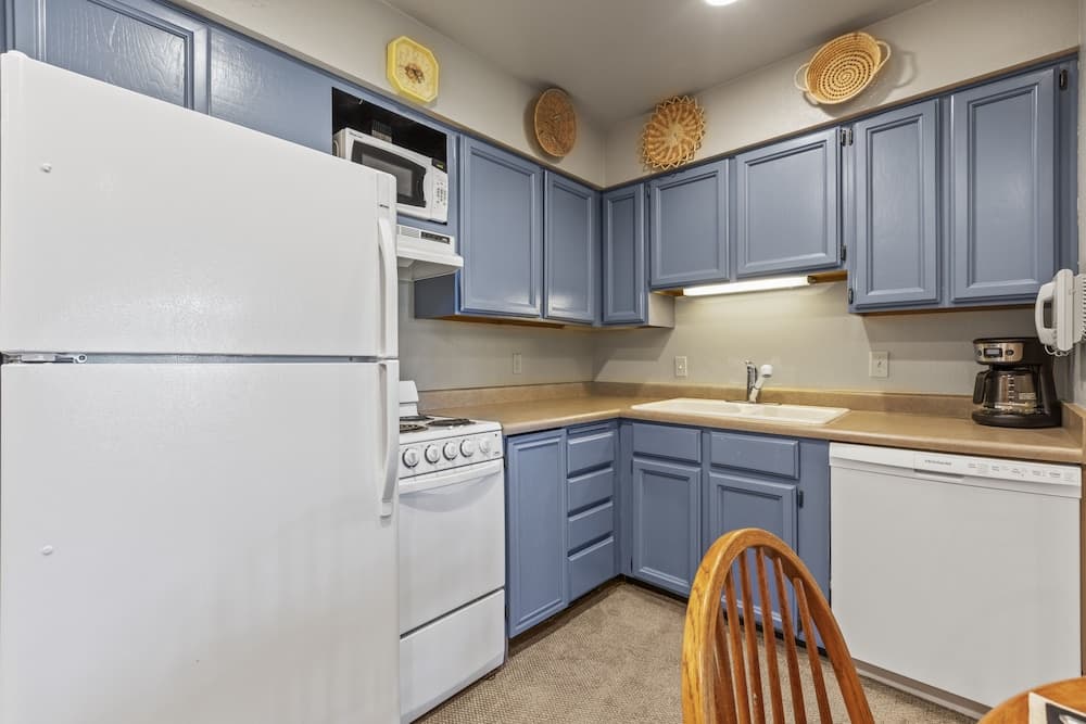 Snow Flower 072 1 Bedroom Condo by RedAwning