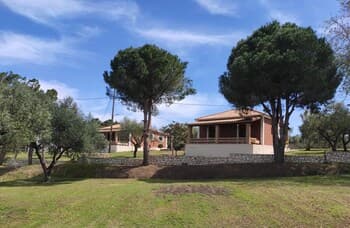 Lithies Organic Farm