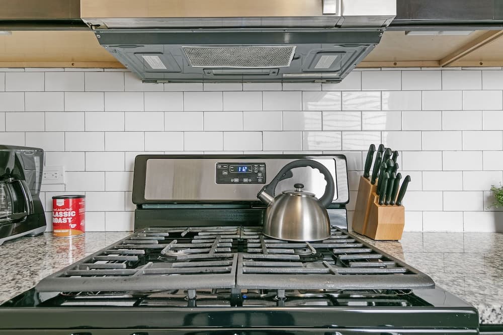 1BR Apt with King Bed in Rogers Park