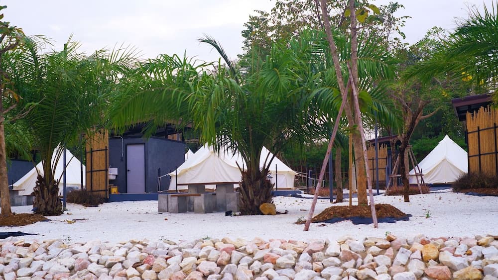 The Wild Khao Yai - Glamping