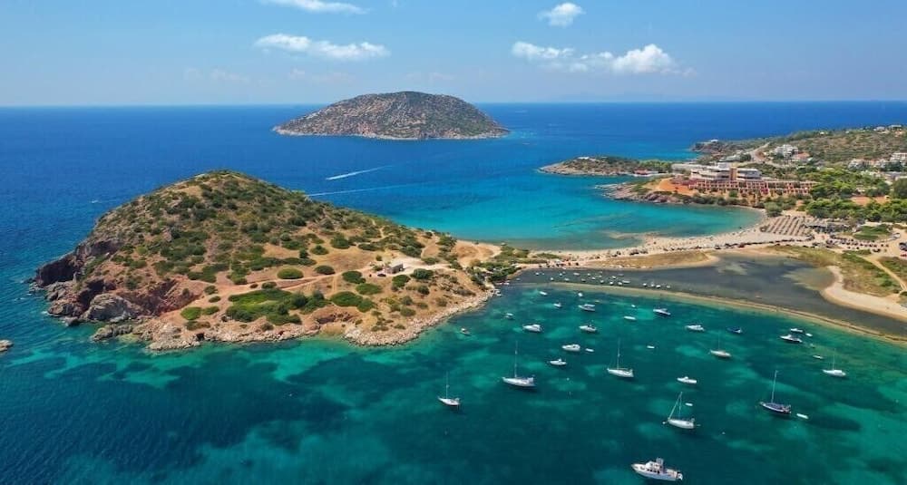 Platanus Gardenhouse