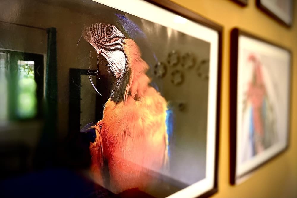 Casa Siolim - 4BHK Private Pool Villa