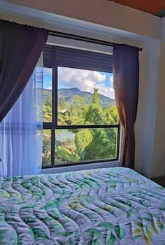 Descanso bajo la Piedra