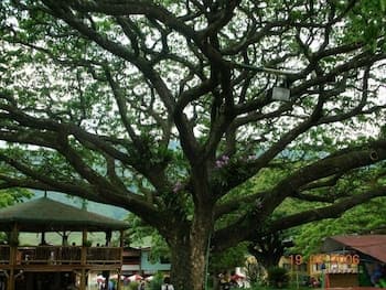 Casa Hotel Castellón