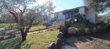 Il Paradiso Degli Ulivi A