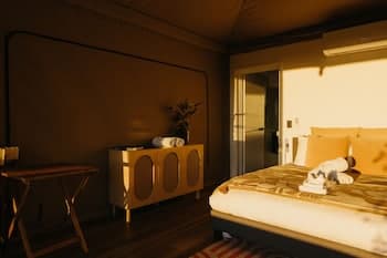 CABN CANVS Seppeltsfield