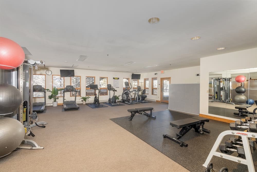 Bear Creek Lodge 207b Hotel Room by Alpine Lodging Telluride