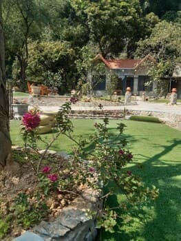 Trang an green river homestay