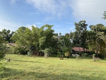 Family Managed Charming Lodge Near Mysore , India