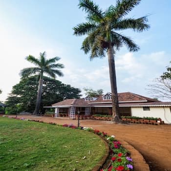 Forest Trails Adventure Resort