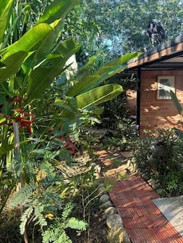 Baansuan Suksangob Farm Stay