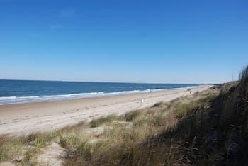 Mermaids & Mutts 3 Bedroom Bungalow by Redawning