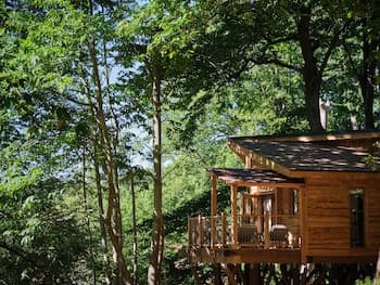 Tree House Retreats