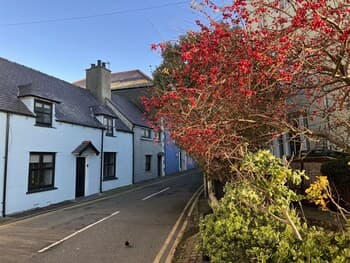 Traditional Cottage- Beams, Log Burner & Sea Views
