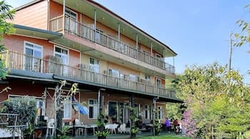 Starlight-Mountain Joy