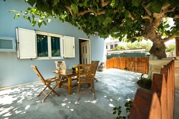 Around Trees in a Quite Village